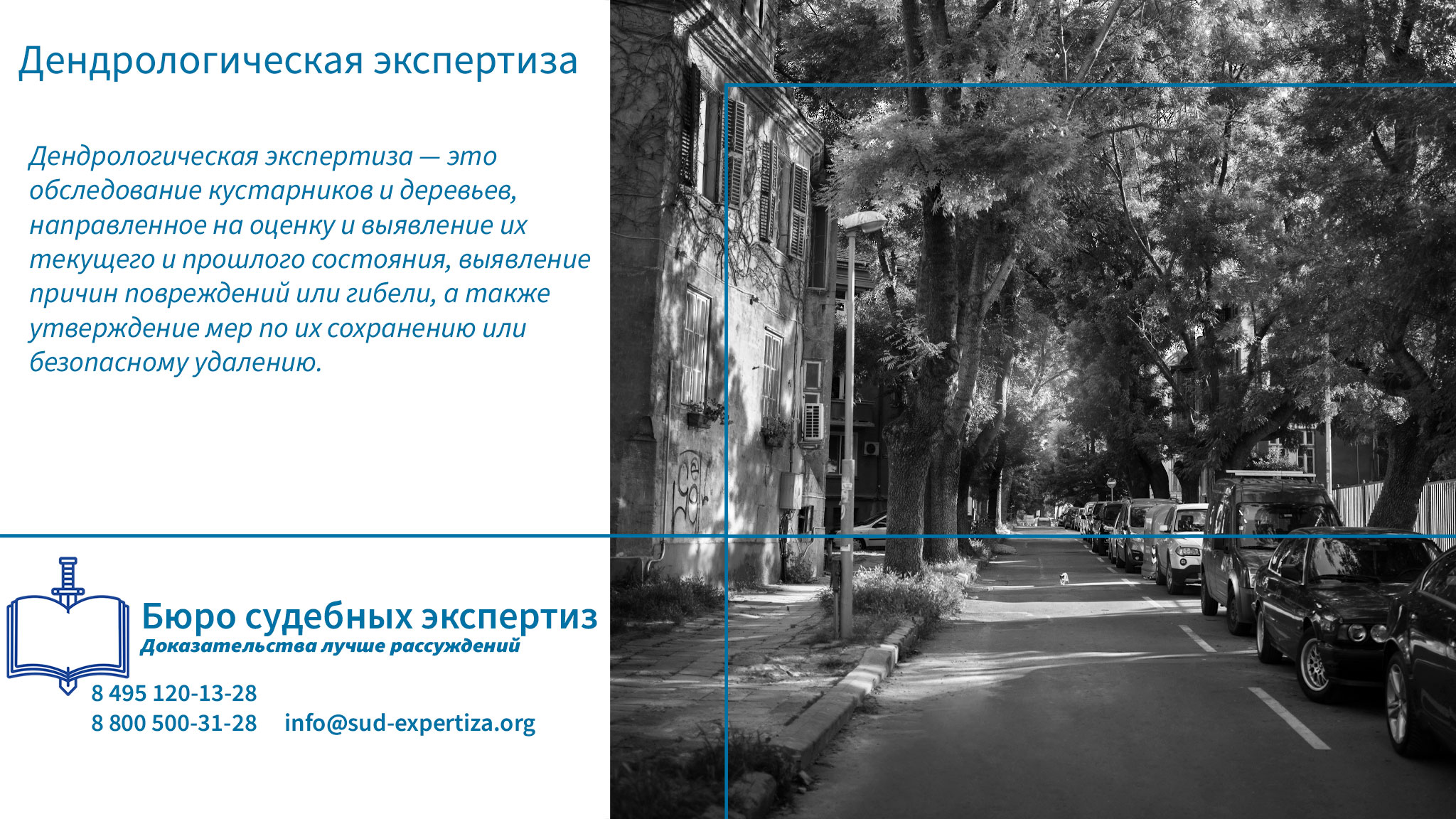 Потребность в лесотехнической экспертизе. Дендрологическая экспертиза.